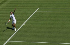 Wimbledon Aces India: Tournament Courts Cricket Fans in Key Expansion Strategy